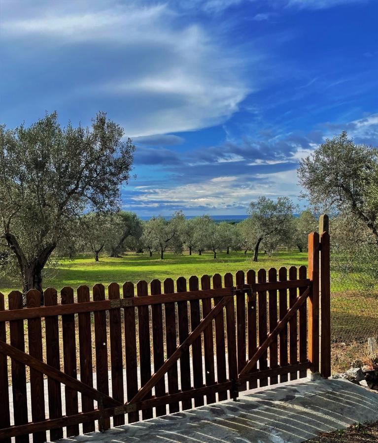 Agriturismo Podere Campalto Campiglia Marittima Dış mekan fotoğraf