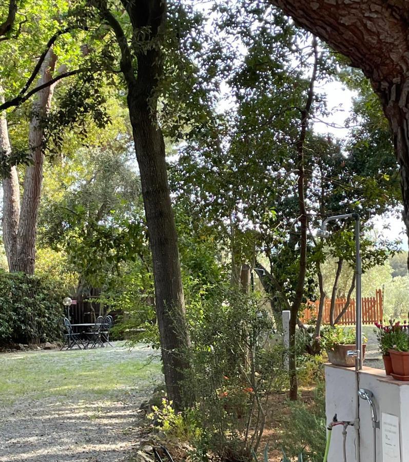Agriturismo Podere Campalto Campiglia Marittima Dış mekan fotoğraf