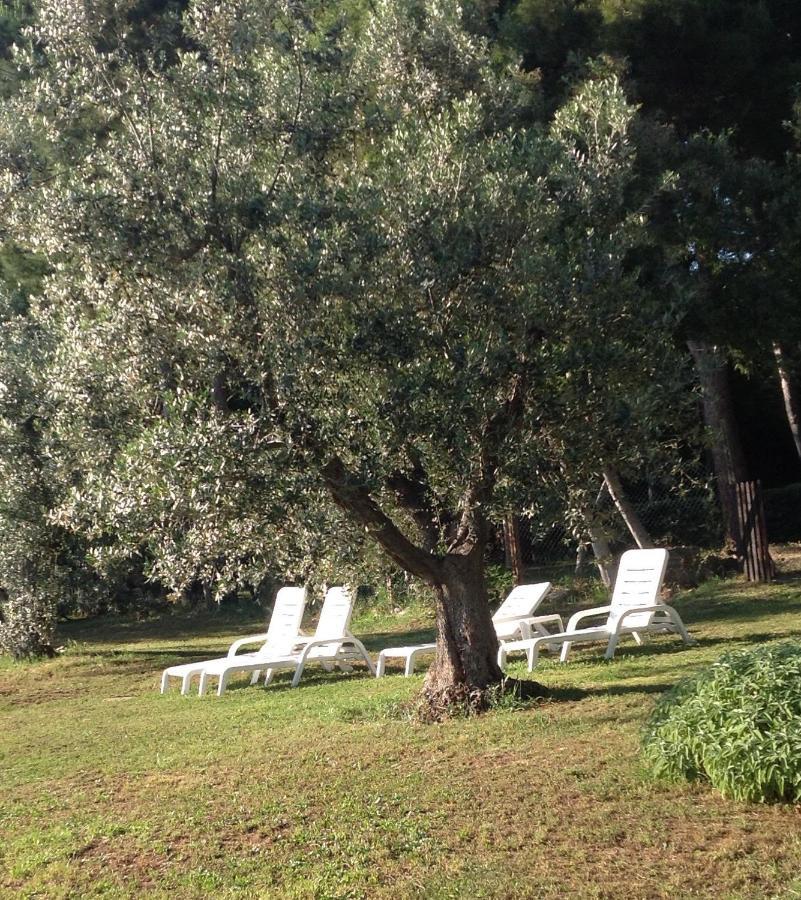 Agriturismo Podere Campalto Campiglia Marittima Dış mekan fotoğraf