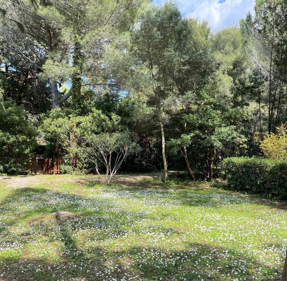 Agriturismo Podere Campalto Campiglia Marittima Dış mekan fotoğraf