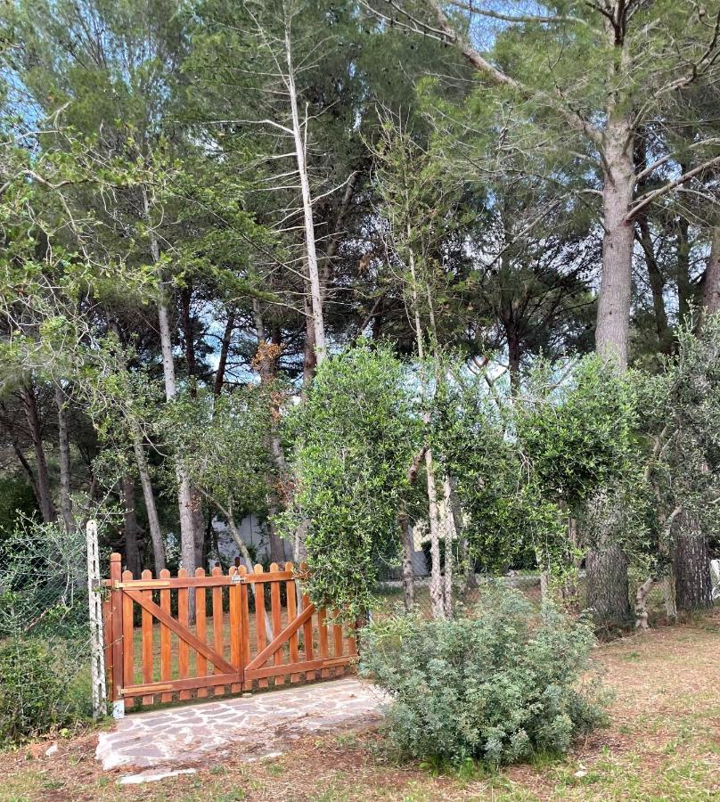 Agriturismo Podere Campalto Campiglia Marittima Dış mekan fotoğraf