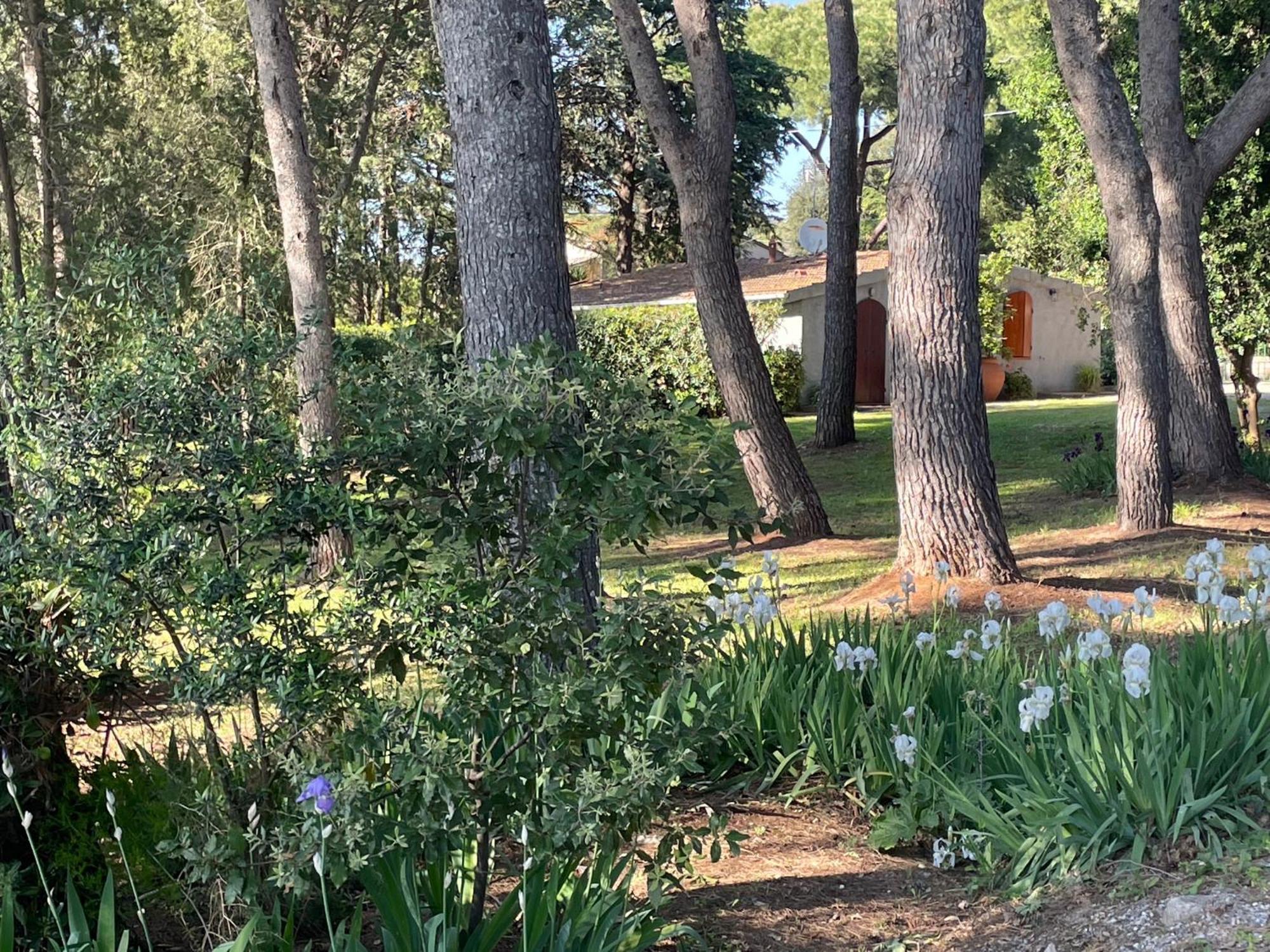 Agriturismo Podere Campalto Campiglia Marittima Dış mekan fotoğraf