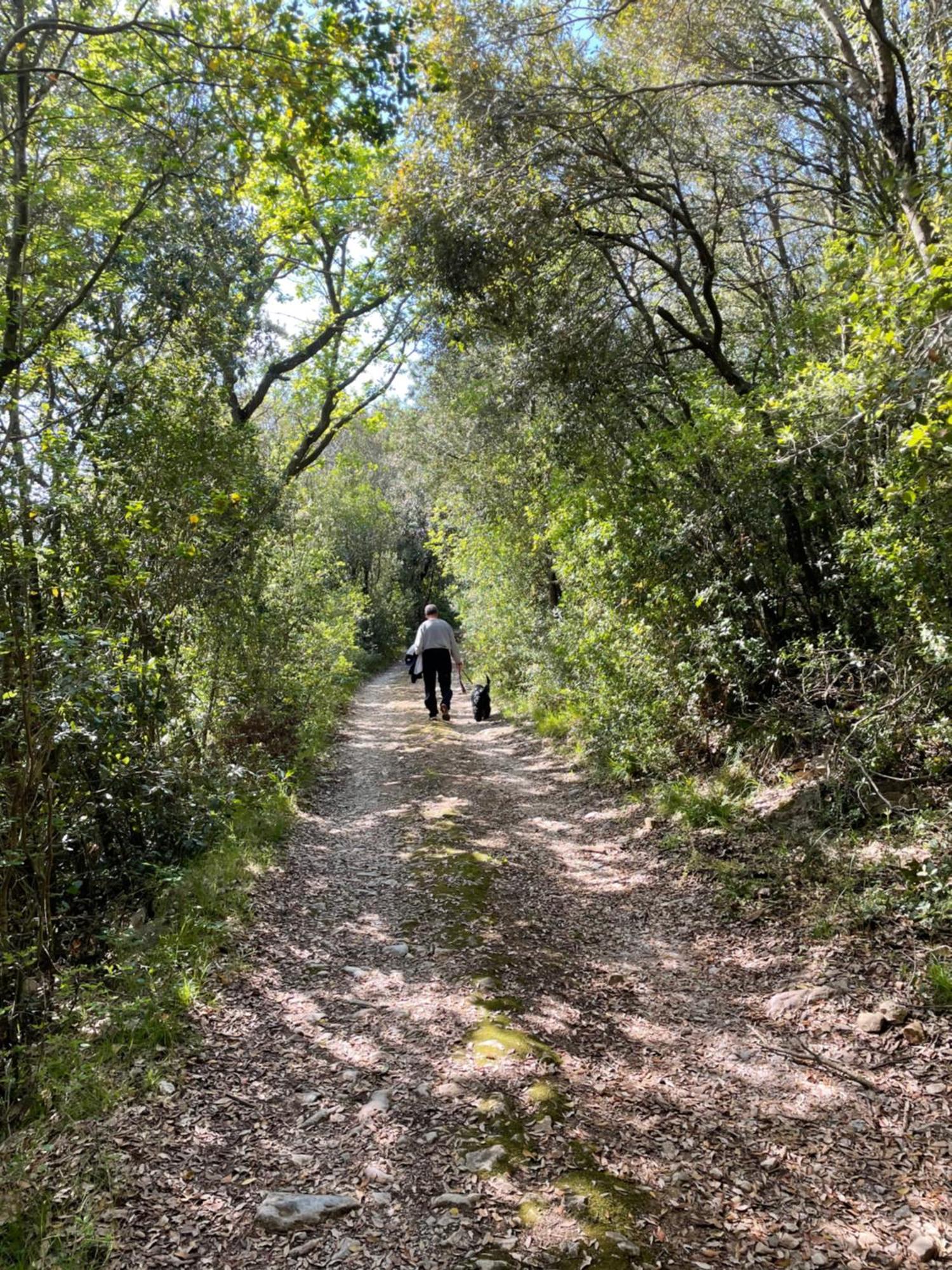 Agriturismo Podere Campalto Campiglia Marittima Dış mekan fotoğraf