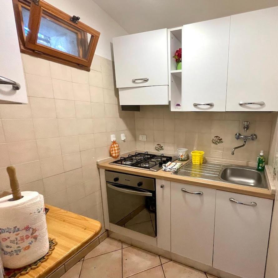 Agriturismo Podere Campalto Campiglia Marittima Dış mekan fotoğraf