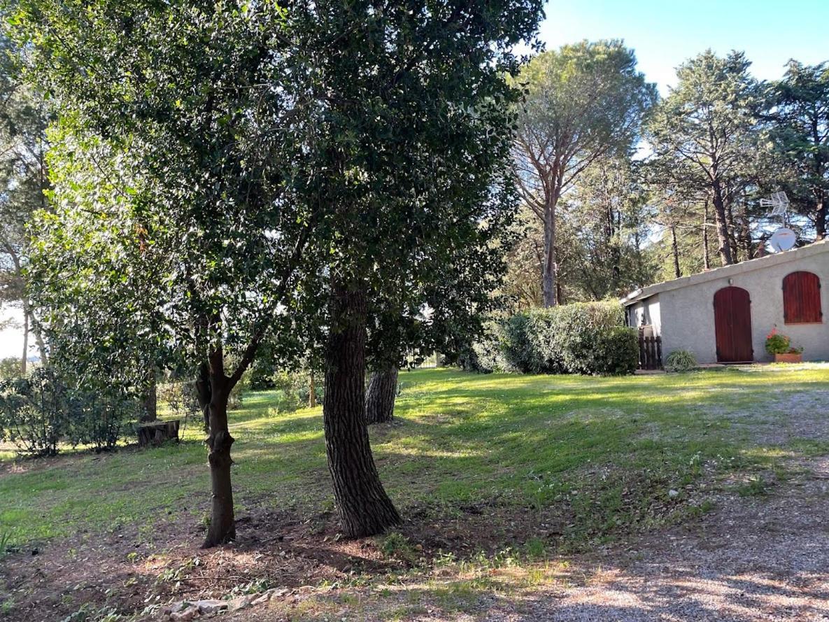 Agriturismo Podere Campalto Campiglia Marittima Dış mekan fotoğraf