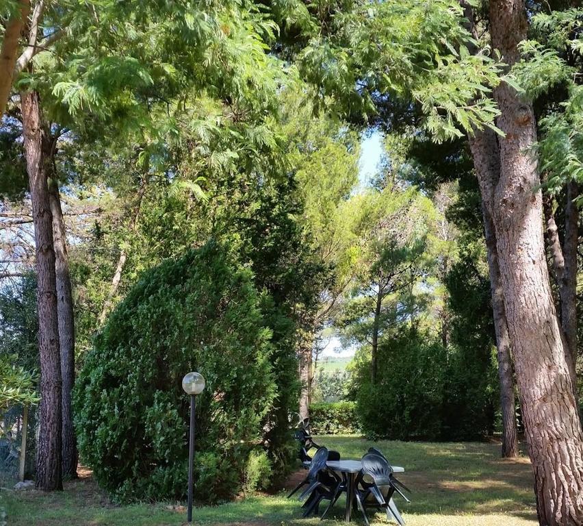 Agriturismo Podere Campalto Campiglia Marittima Dış mekan fotoğraf
