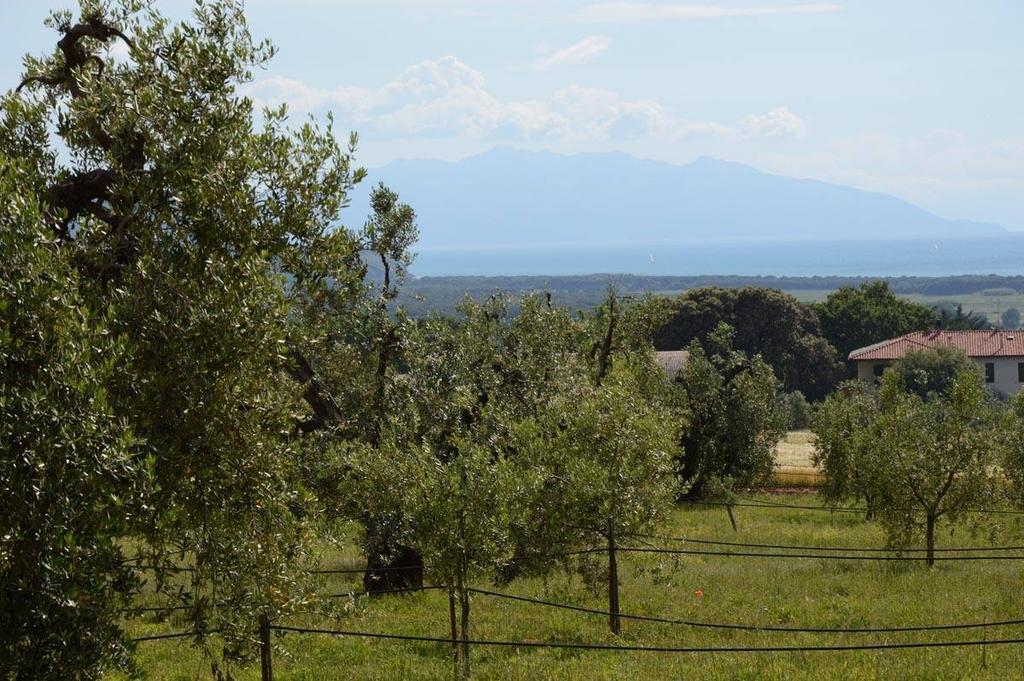 Agriturismo Podere Campalto Campiglia Marittima Dış mekan fotoğraf