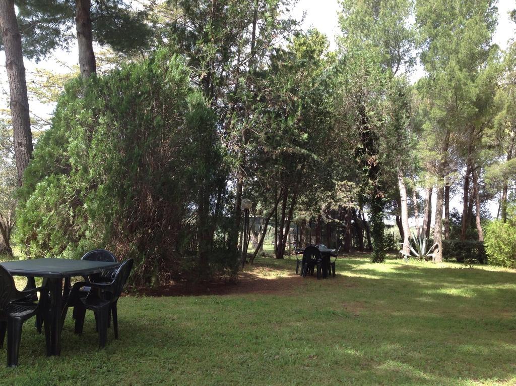 Agriturismo Podere Campalto Campiglia Marittima Dış mekan fotoğraf