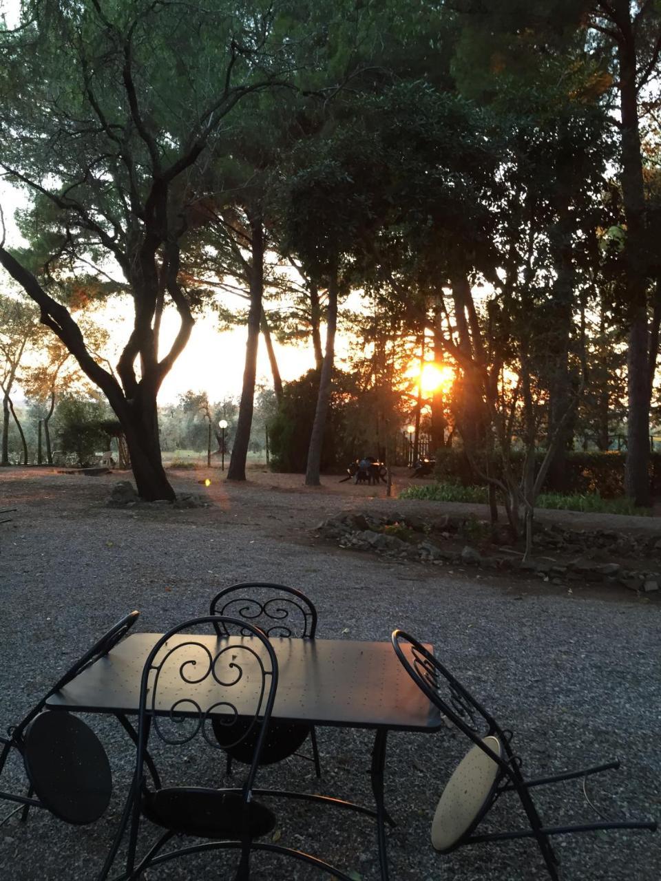 Agriturismo Podere Campalto Campiglia Marittima Dış mekan fotoğraf