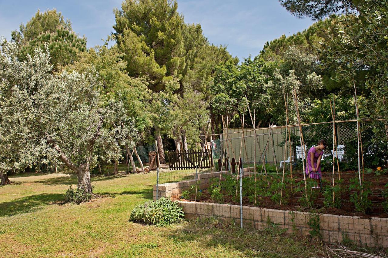 Agriturismo Podere Campalto Campiglia Marittima Dış mekan fotoğraf