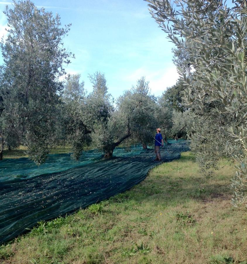 Agriturismo Podere Campalto Campiglia Marittima Dış mekan fotoğraf