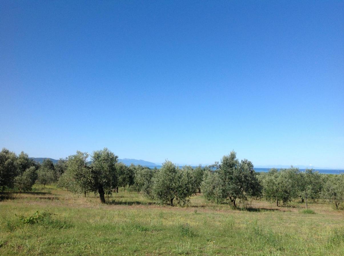 Agriturismo Podere Campalto Campiglia Marittima Dış mekan fotoğraf