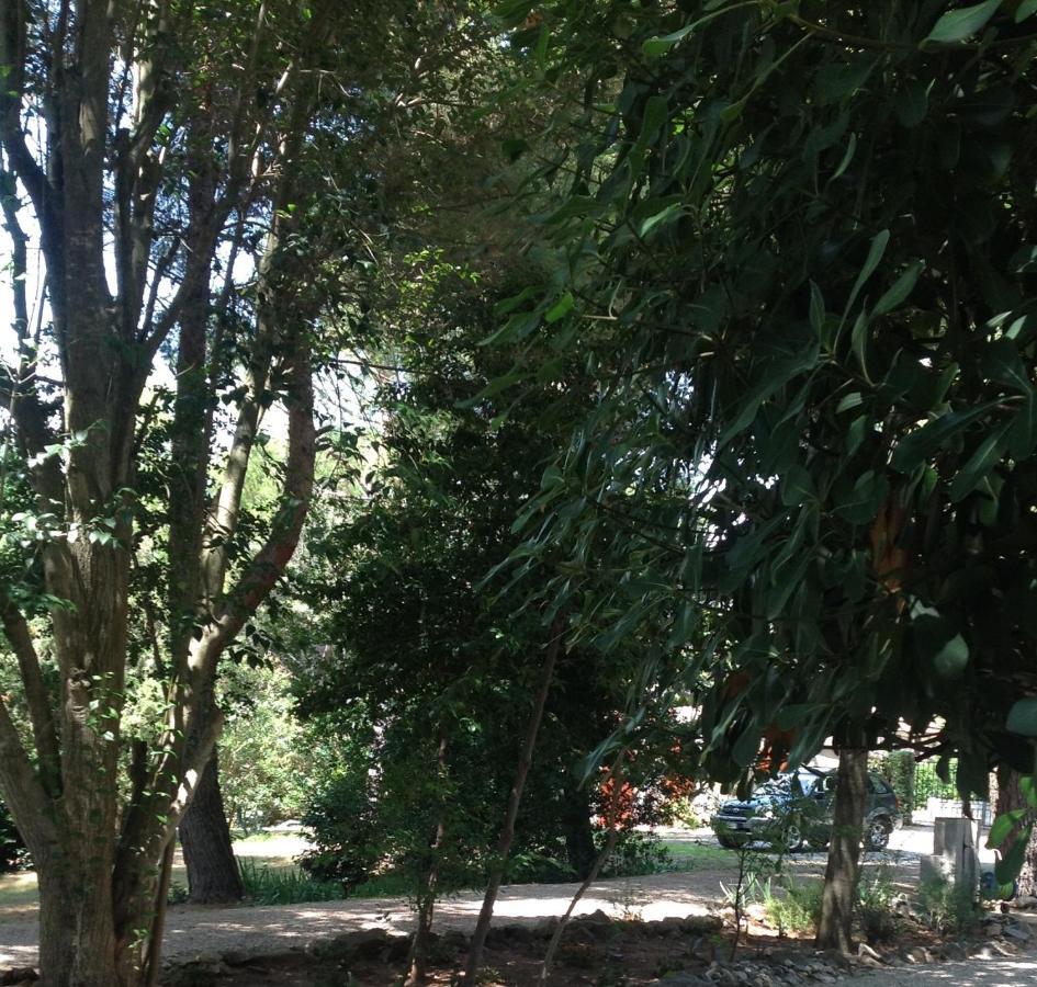Agriturismo Podere Campalto Campiglia Marittima Dış mekan fotoğraf