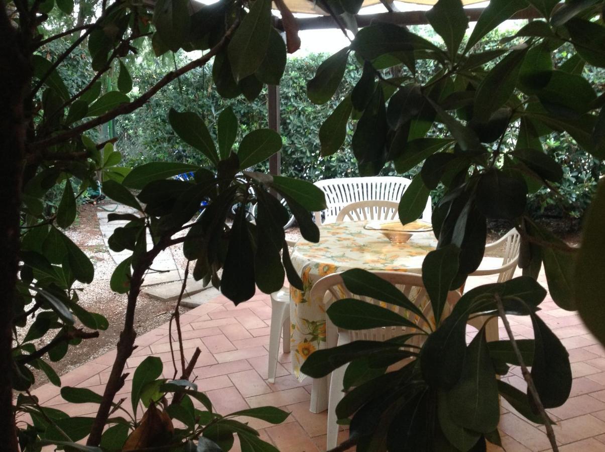 Agriturismo Podere Campalto Campiglia Marittima Dış mekan fotoğraf