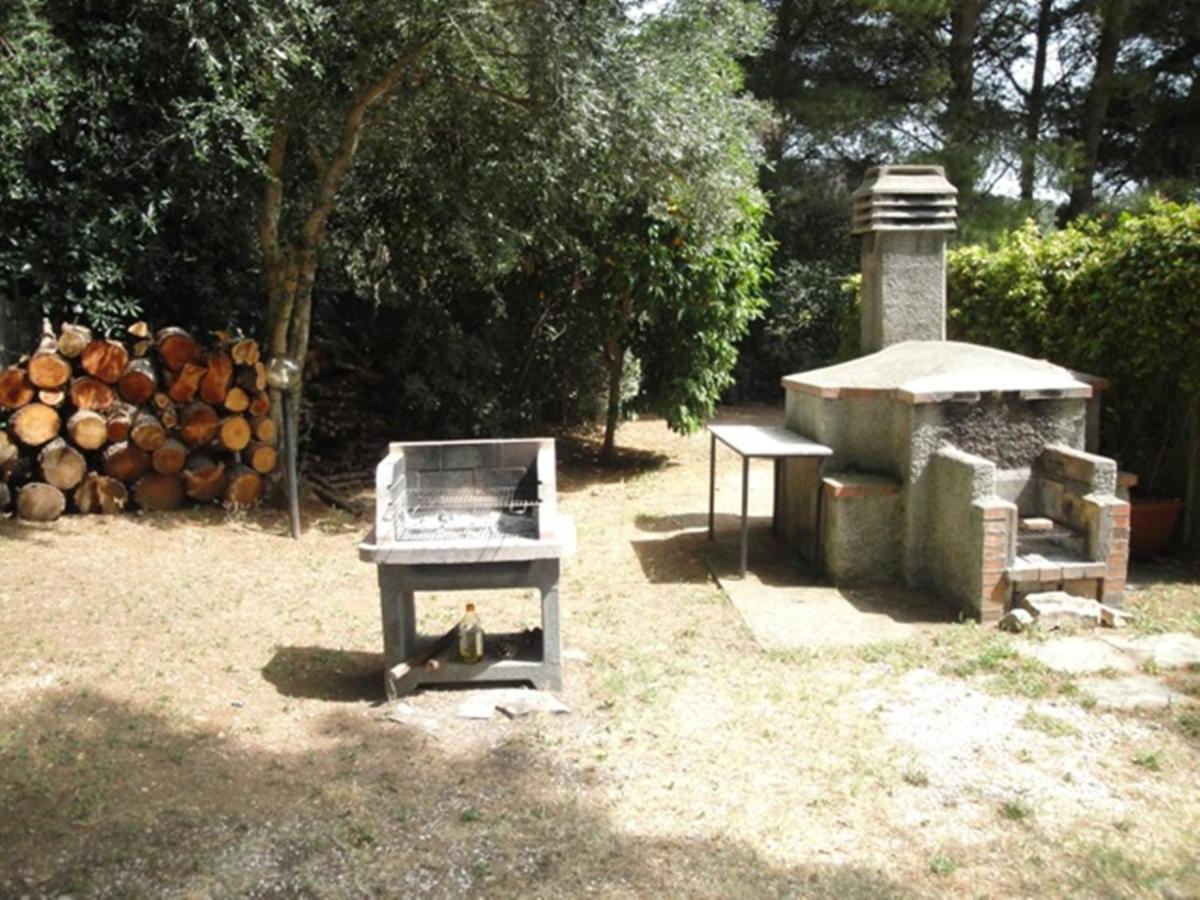 Agriturismo Podere Campalto Campiglia Marittima Dış mekan fotoğraf